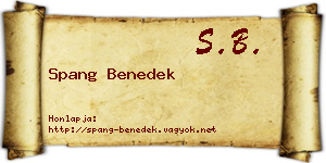 Spang Benedek névjegykártya